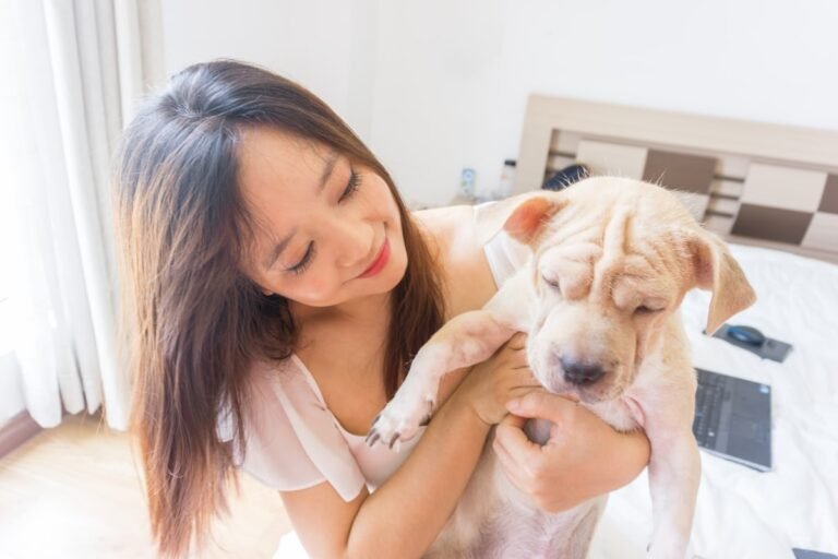 Understanding In-Home Pet Euthanasia: How It Provides Comfort and Peace During Your Pet’s Final Moments